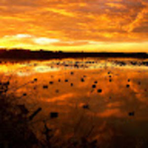 Meet your Posher, Skylar